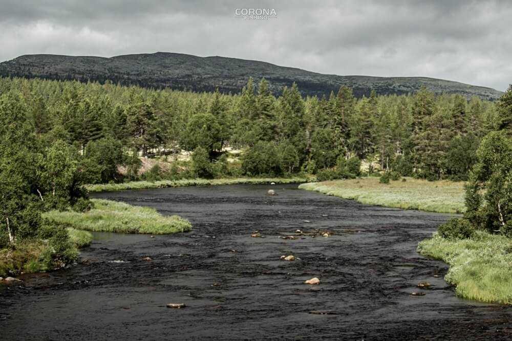 wędkarstwo skandynawia